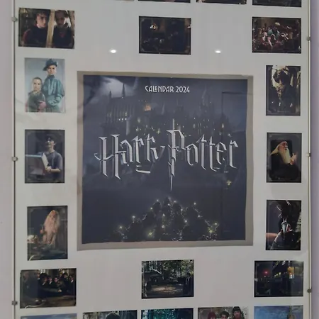 Harry Potter ראפאלו